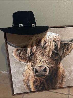 Charlie horse hats size M , black